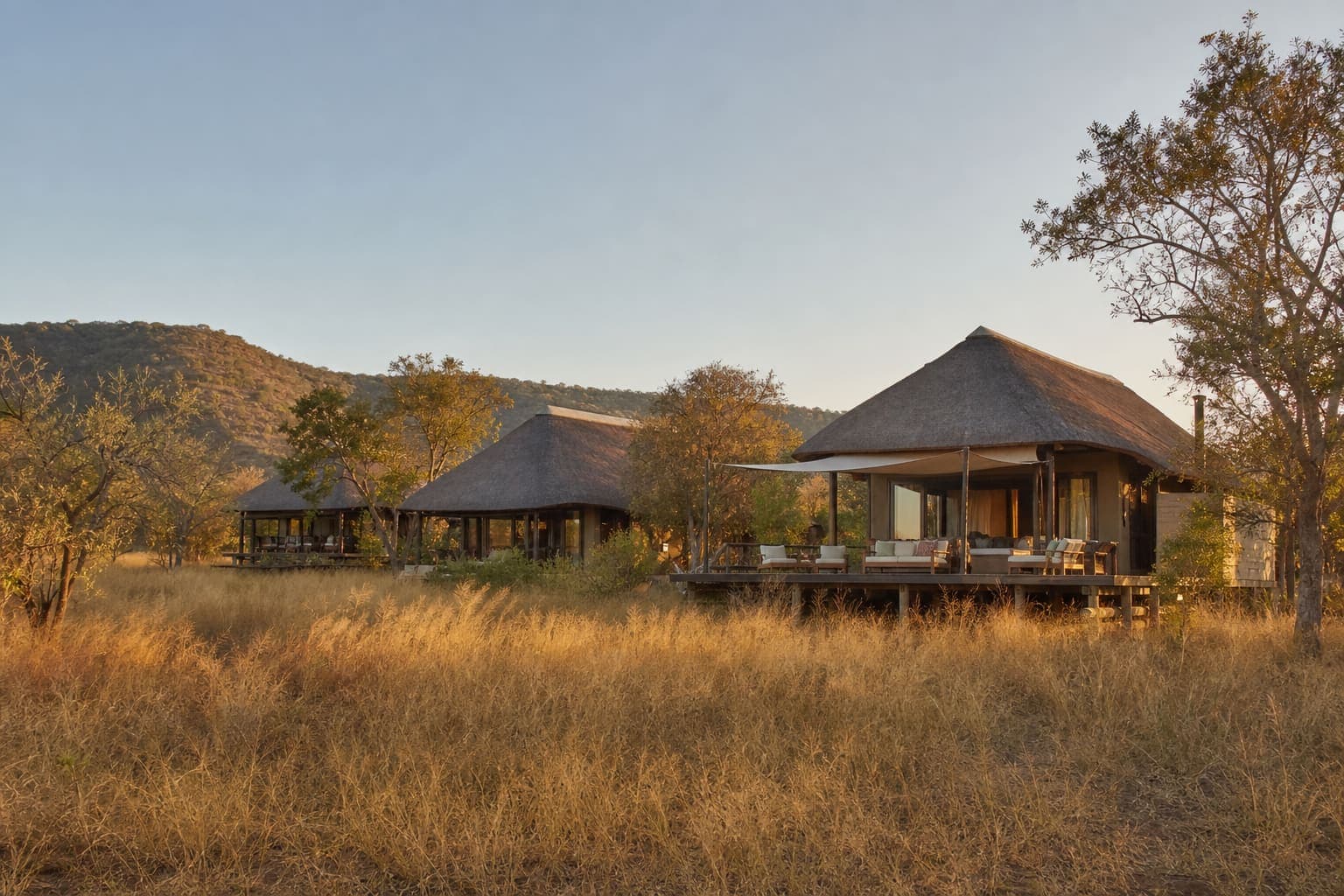 Safari lodge set in open woodland at golden hour